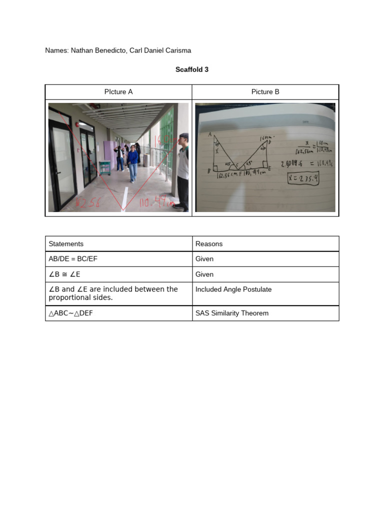 Scaffold 3 Math | PDF