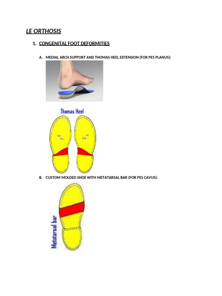 Le Orthosis | PDF