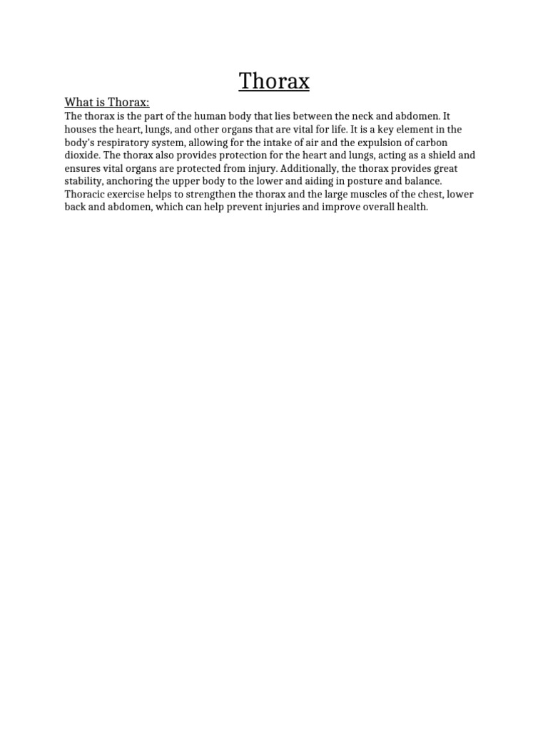Thorax | PDF