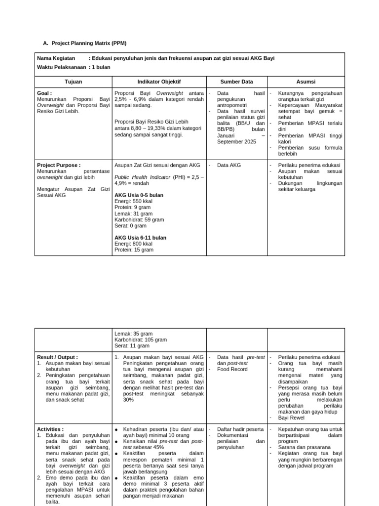 Project Planning Matrix | PDF