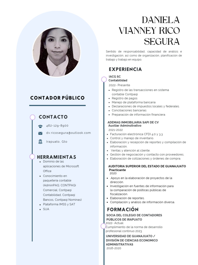 CV Rico Segura Daniela Vianney-Contador Público | PDF | Contabilidad ...
