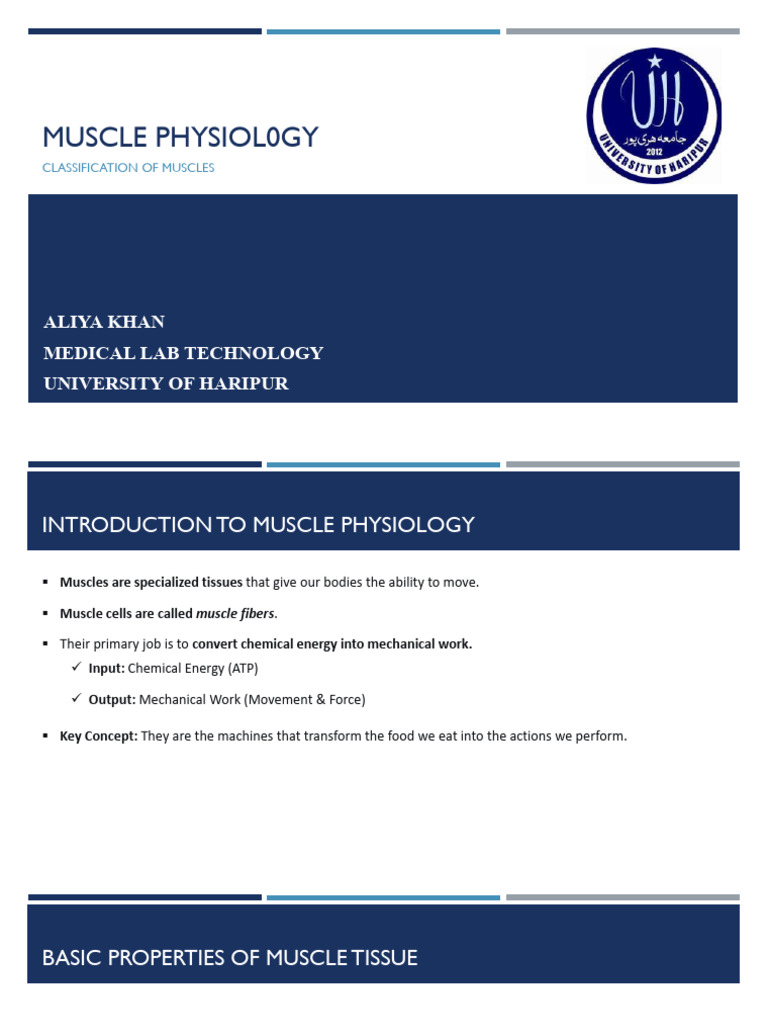 Lecture-11-Muscles Physiology | PDF | Muscle Contraction | Skeletal Muscle