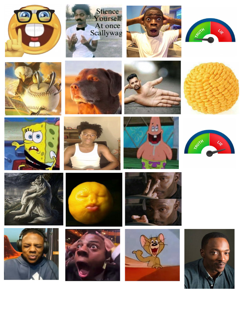 Memes | PDF