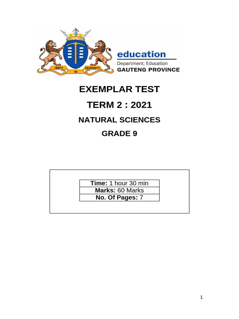 Exemplar Test Grade 9 Term 2 | PDF | Oxide | Acid