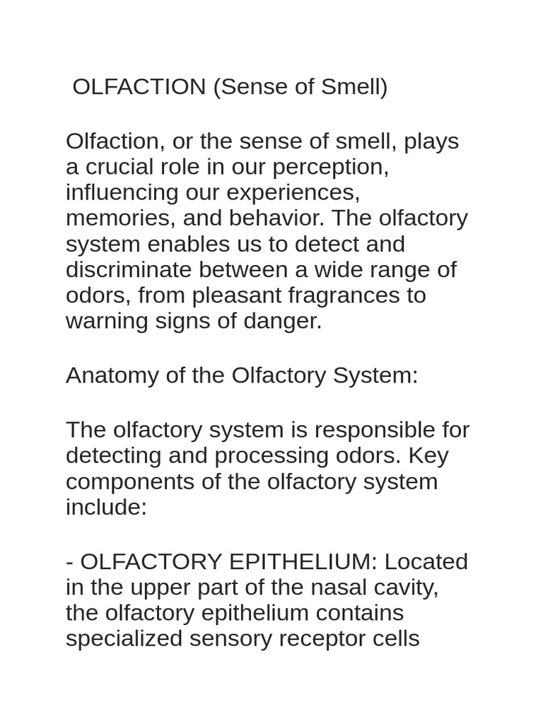Special Senses Olfaction 240308 141223 | PDF | Olfactory System | Odor