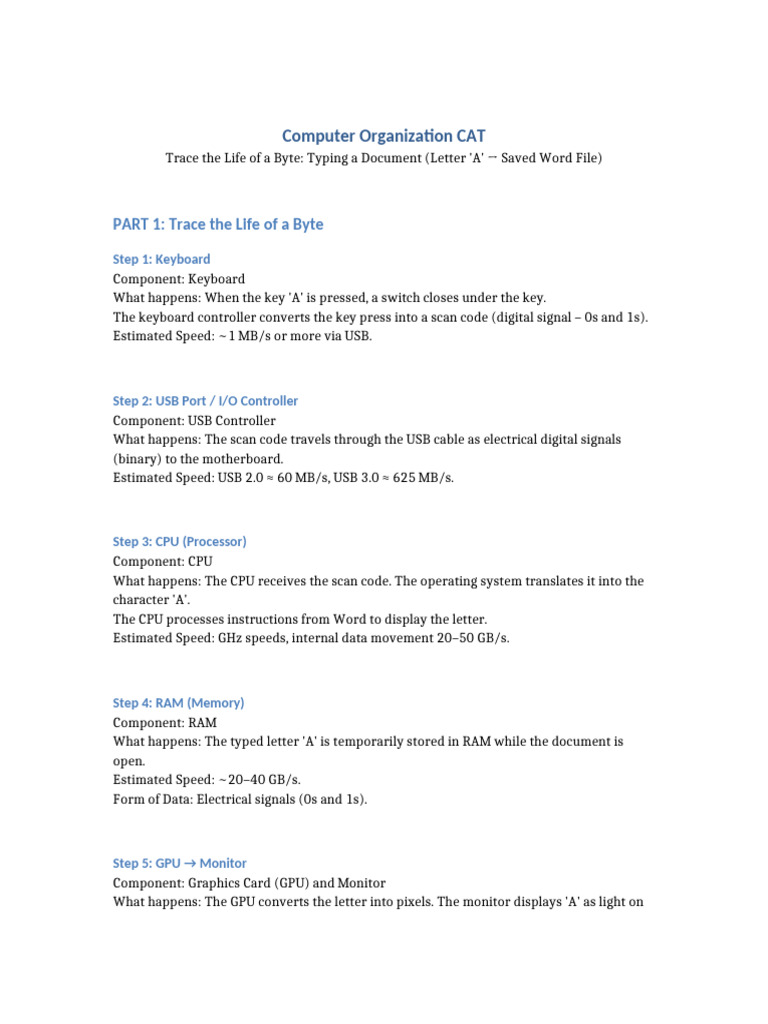 Computer Organization CAT Typing Document | PDF | Random Access Memory ...