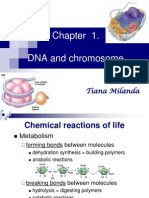 DNA and Chromosome: Tiana Milanda
