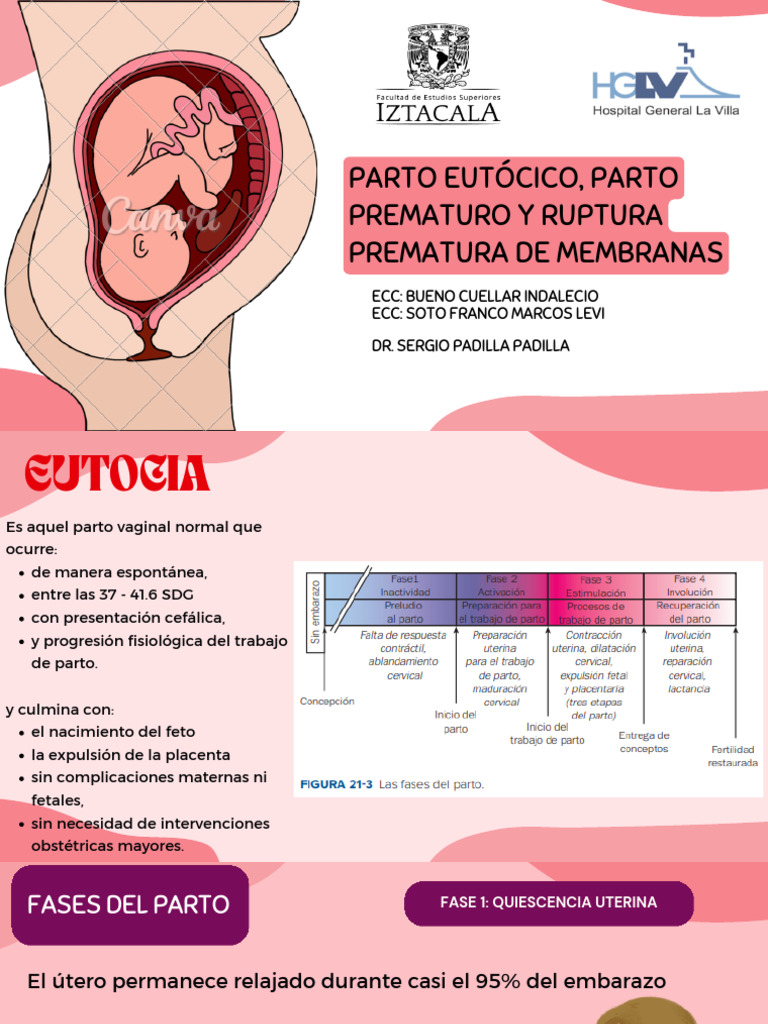 Parto Eutócico | PDF | Parto | Ciencias de la Salud