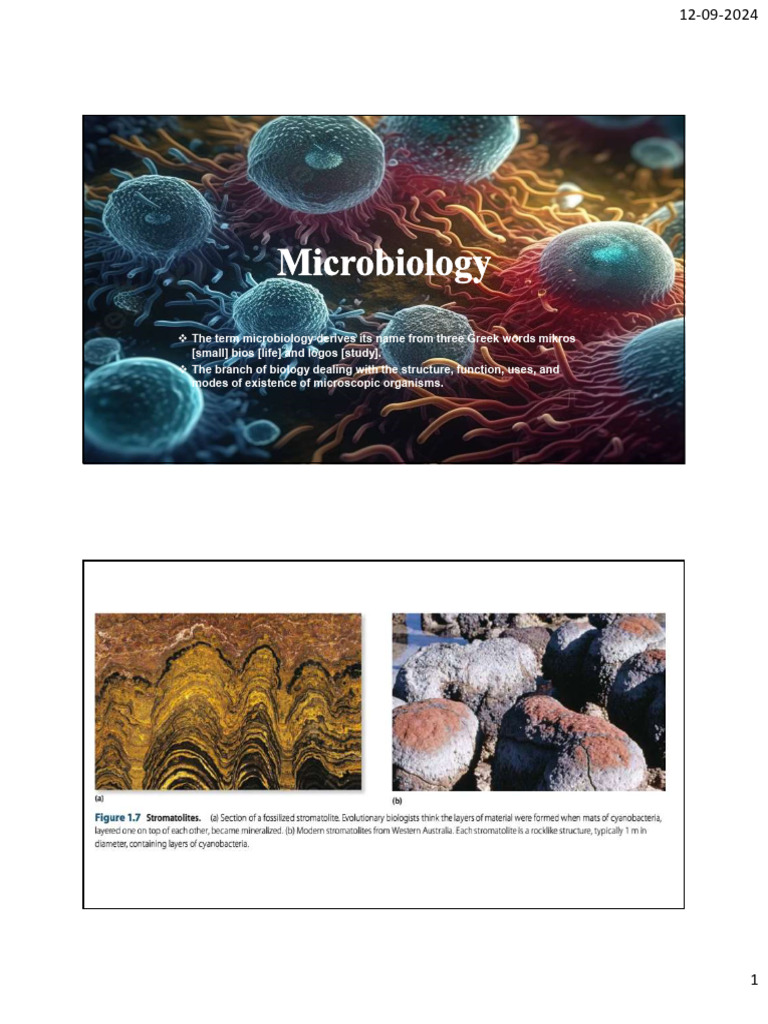 Lecture 3 food enginerring. module | PDF | Bacteria | Cell (Biology)