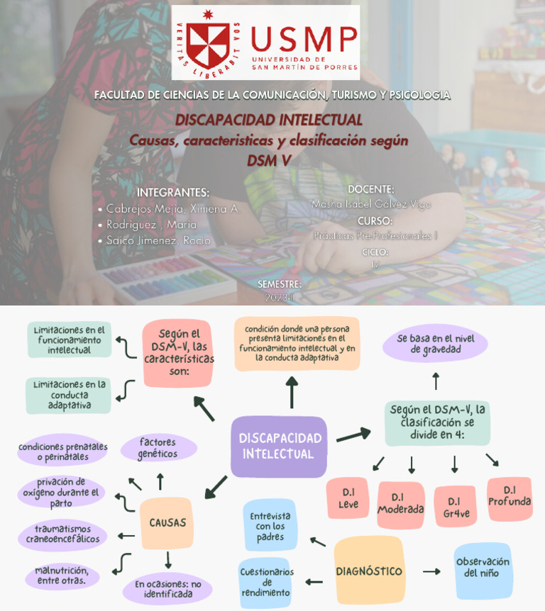 Discapacidad Intelectual | PDF