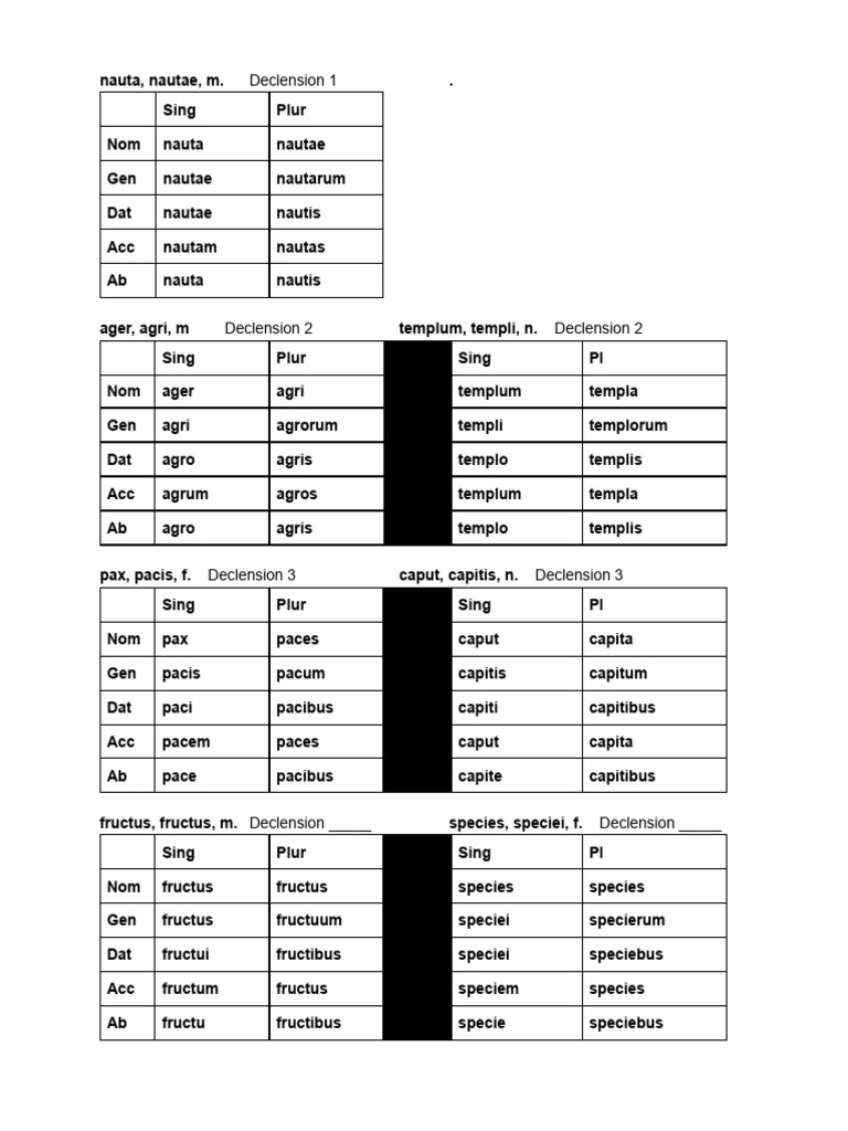 Noun Declension Charts | PDF