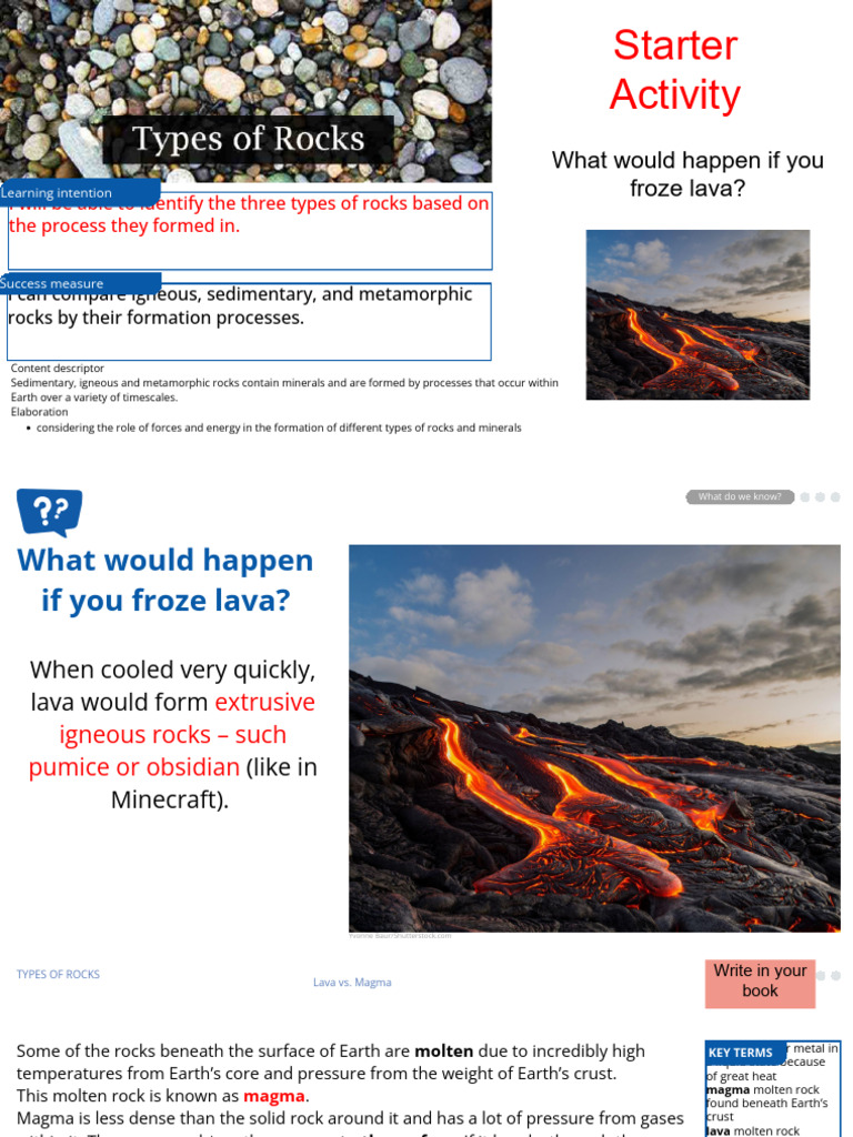 Plants Have Tissues and Organs | PDF | Rock (Geology) | Igneous Rock