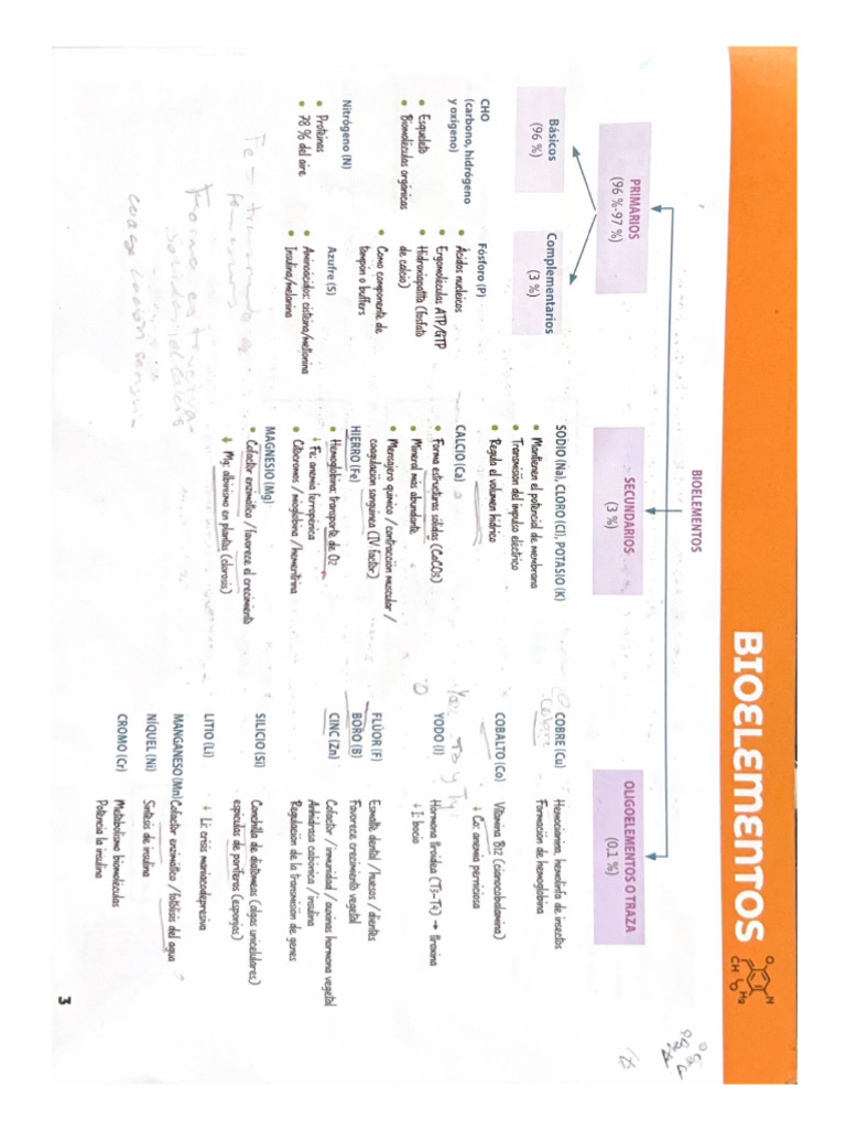 Bio Elementos | PDF