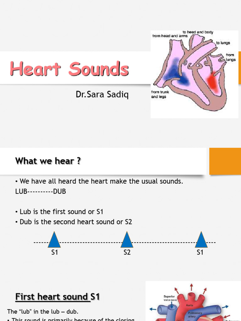 Heartsounds 200902060736 | PDF | Heart Valve | Heart