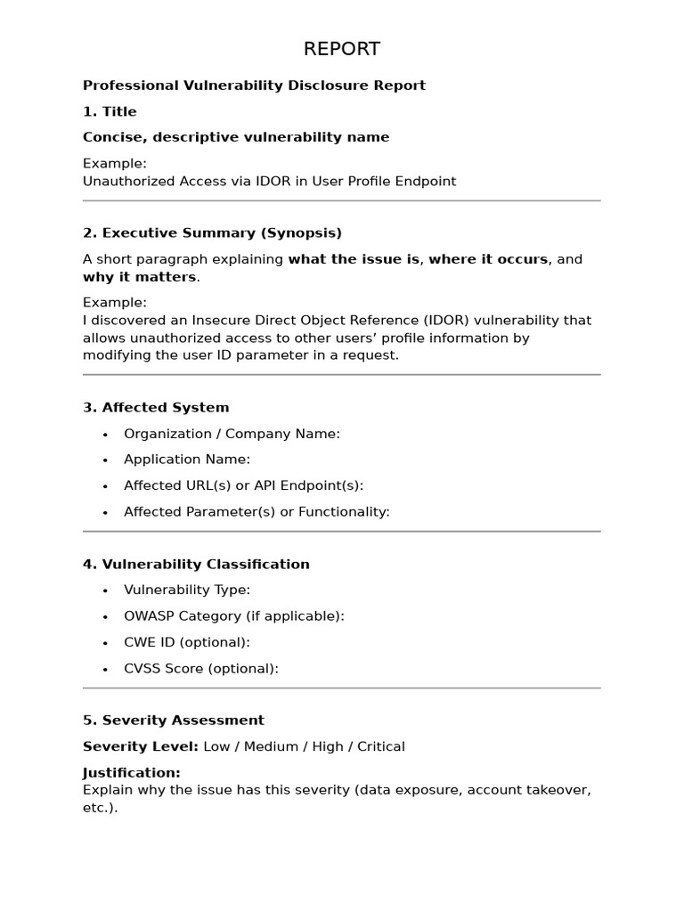 Professional Vulnerability Disclosure Report | PDF