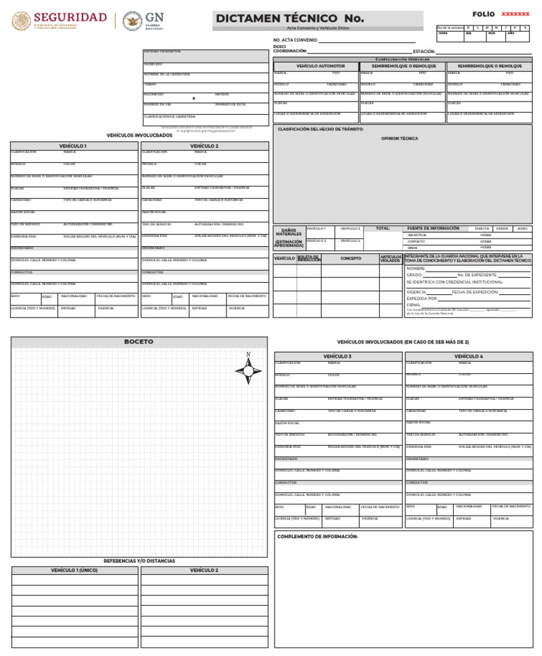 Formato Dictamen Tec. Simplificado_022203 (1) | PDF | Justicia | Crimen ...