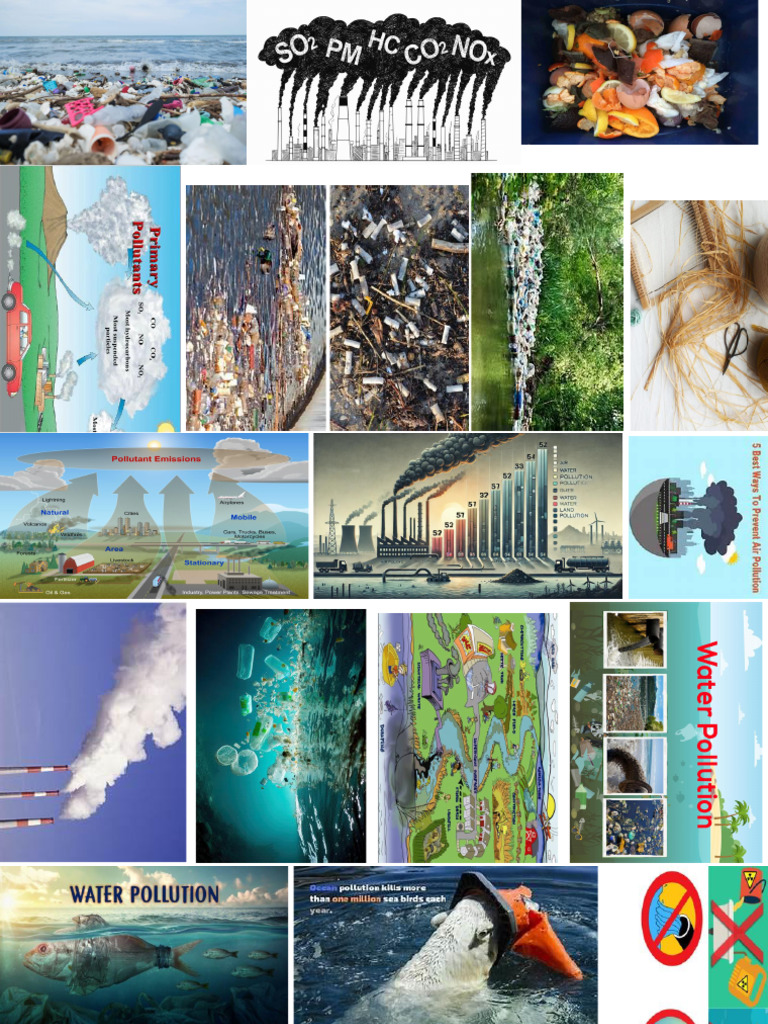 Pollution Geography 9 2024-2025 | PDF