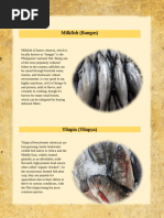 Pakol Fish: Characteristics and Habitat | PDF