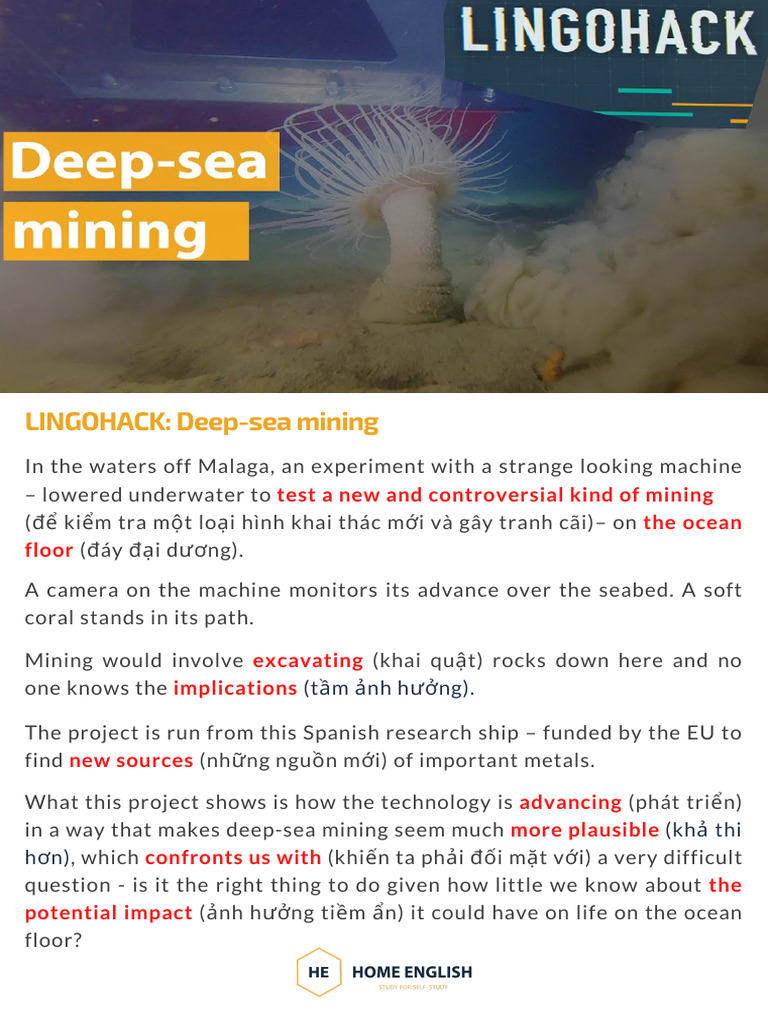 Deep Sea Mining | PDF | Natural Environment | Environmental Science