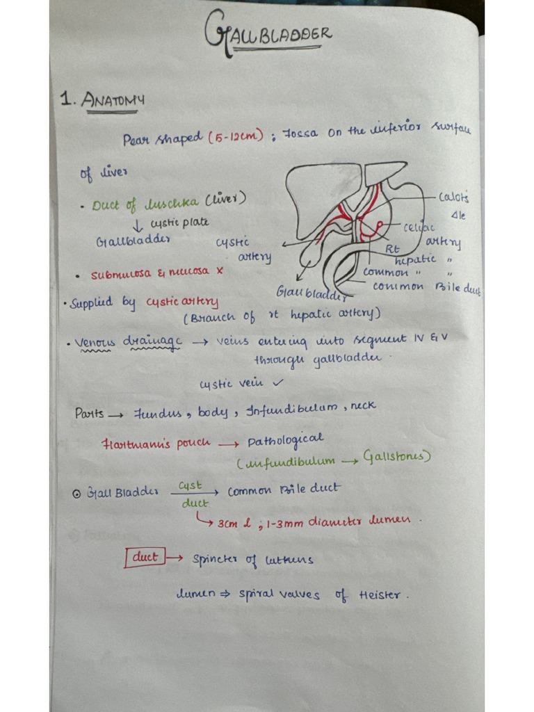 Gall Bladder (Surgery) - 1 | PDF