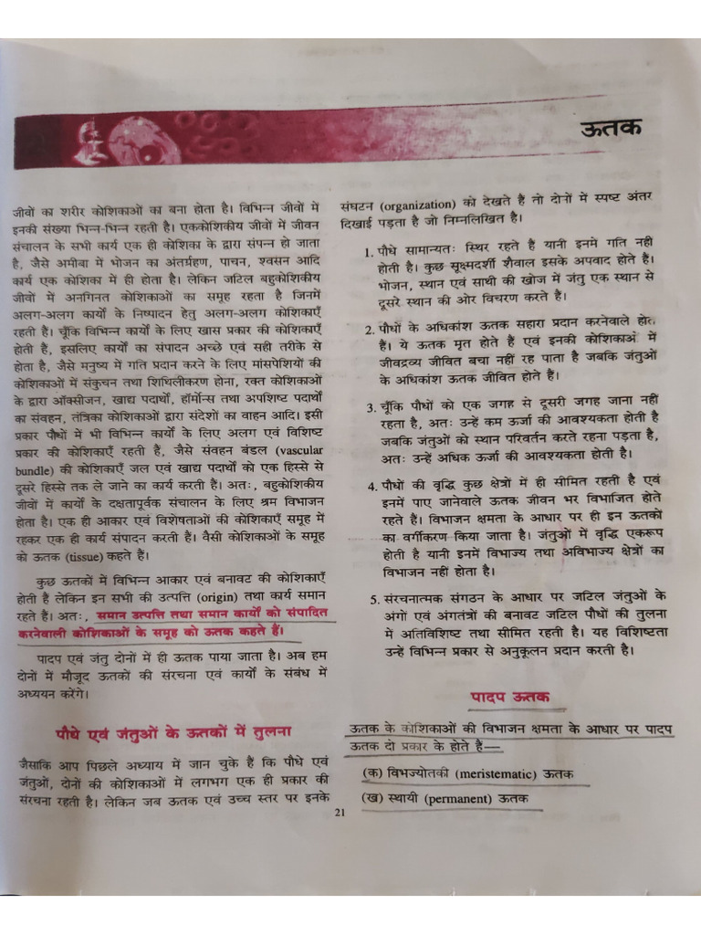 9th Bio Short Notes Part 1 | PDF