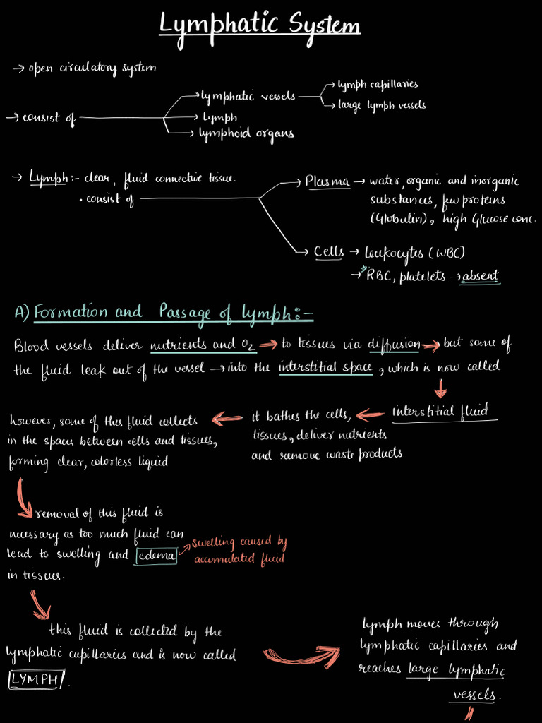 Lymphatic System | PDF