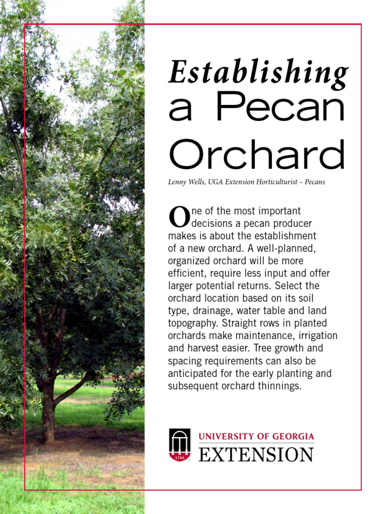 A Pecan Orchard: Establishing | PDF | Soil | Trees