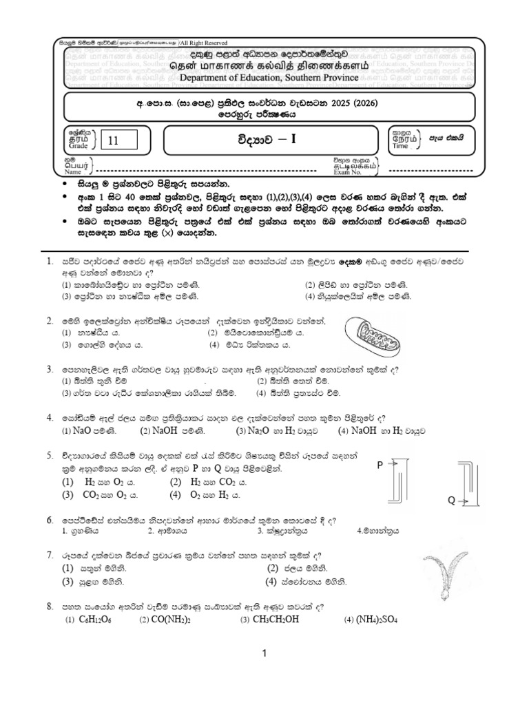 Revision Paper SP Part 1 | PDF