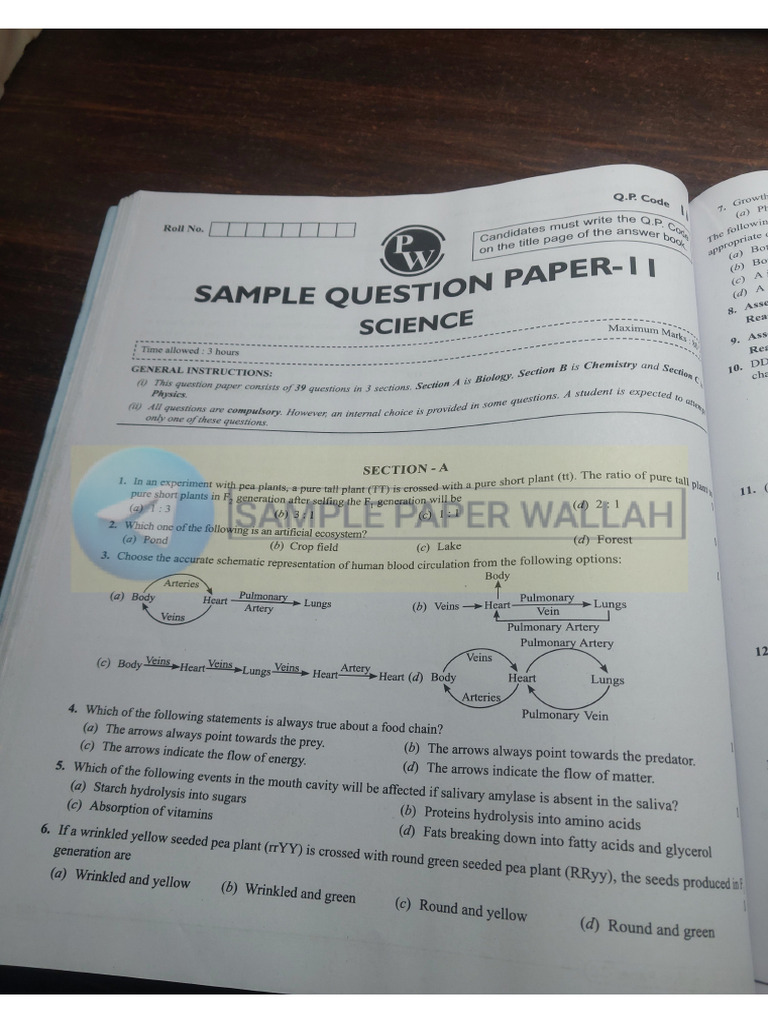 Sample Paper 11+12 - Watermark | PDF