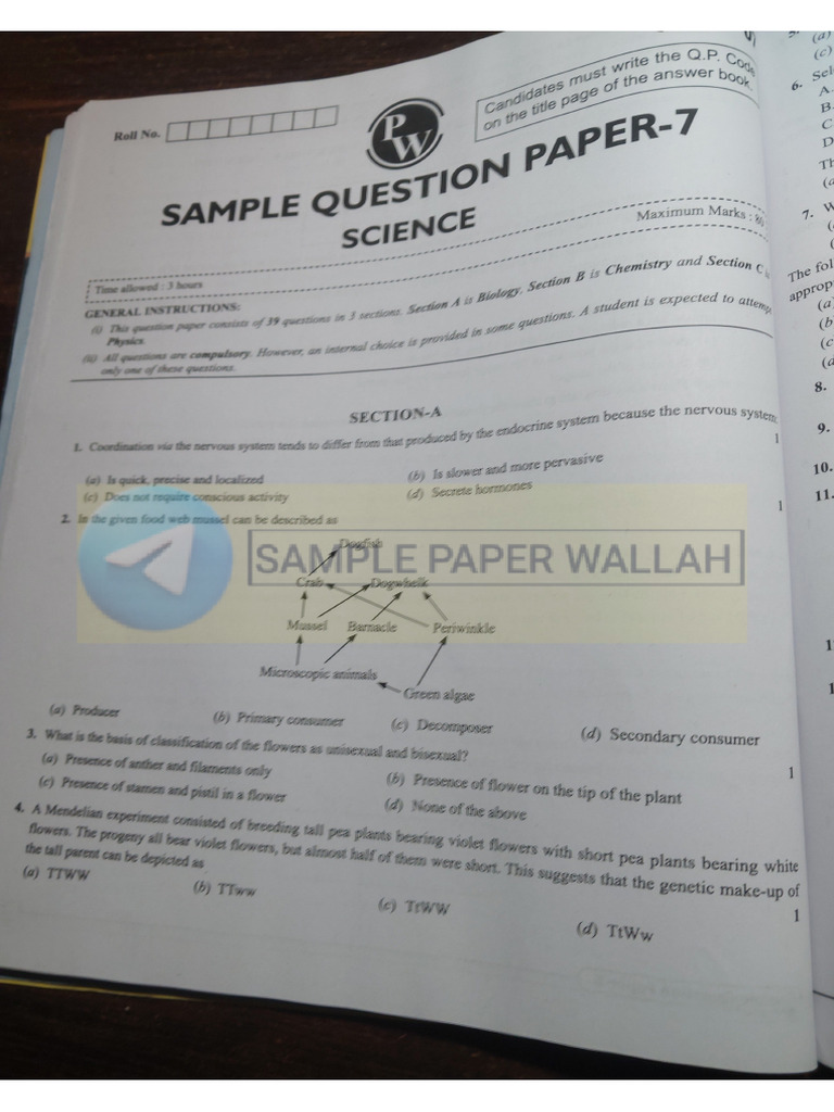 Sample Paper 7+8 - Watermark | PDF