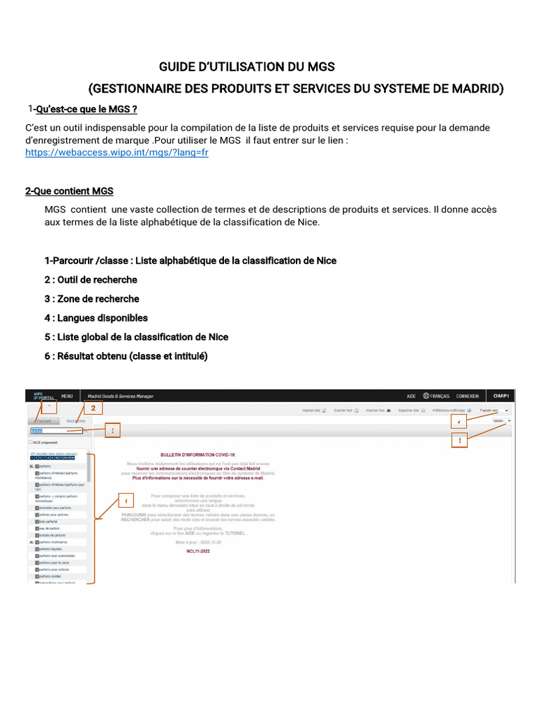 GUIDE Utilisation Du MGS. v.1 | PDF