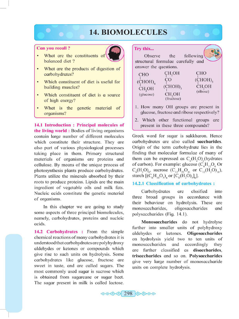 HSC Chem Biomolecules - Compressed | PDF