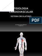Clase - Sistema Circulatorio