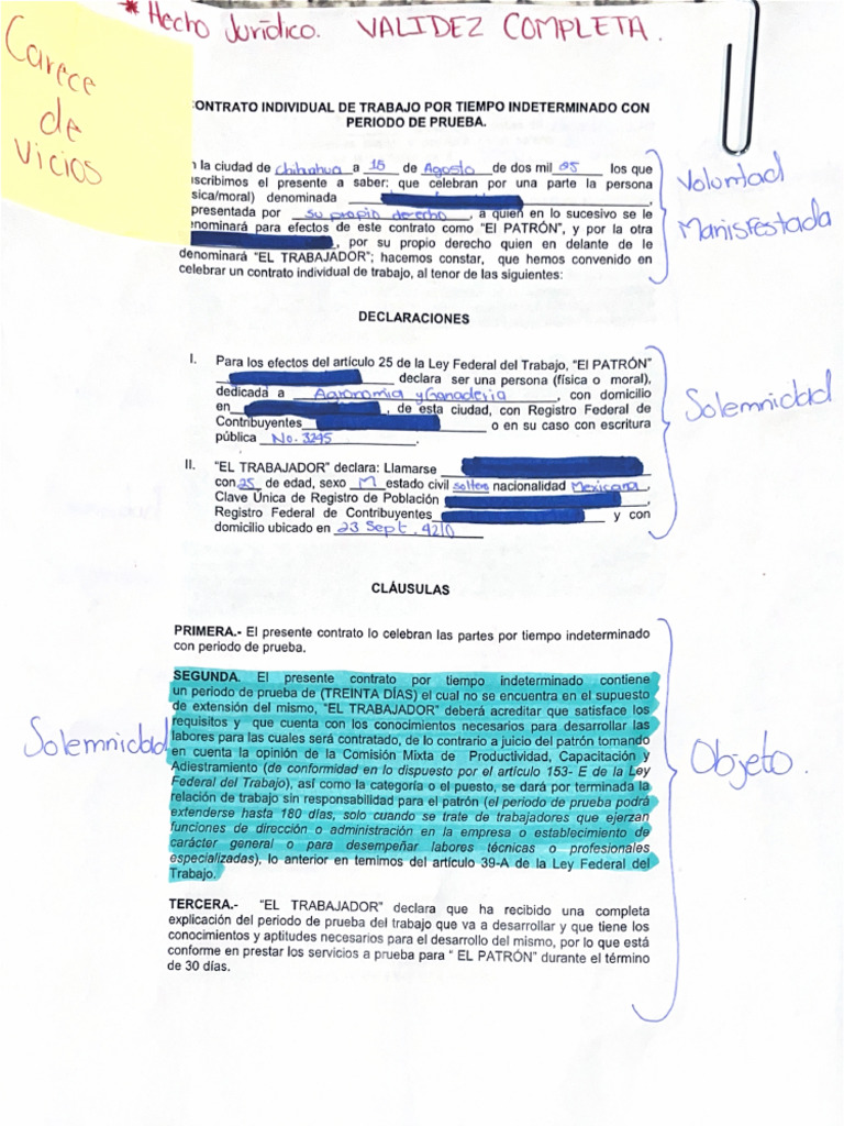 Arece | PDF
