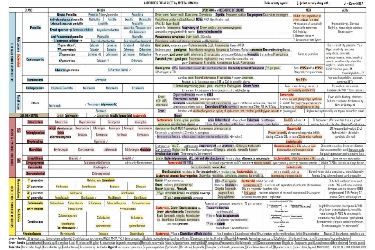 Antibiotics | PDF