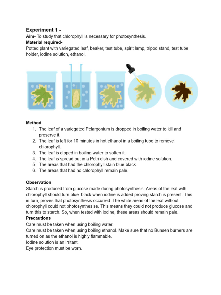 Experiment 1 | PDF