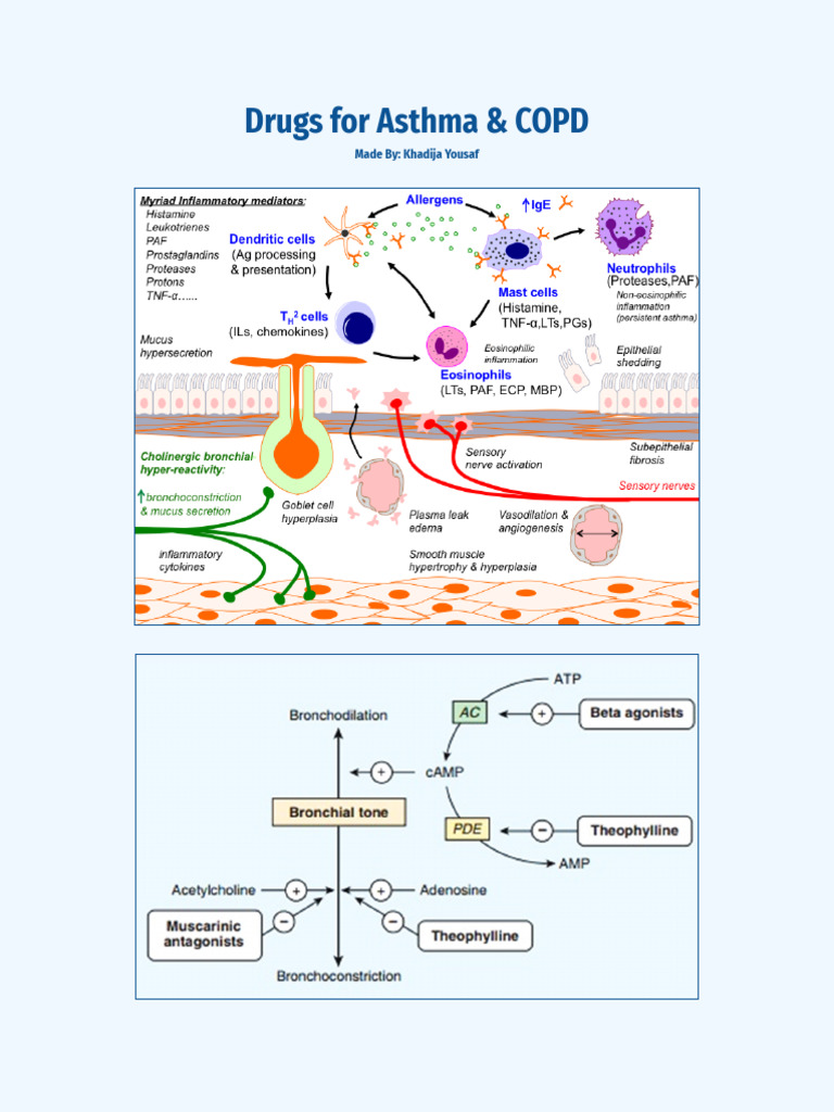 Drugs For Asthma & COPD | PDF | Asthma | Chronic Obstructive Pulmonary ...