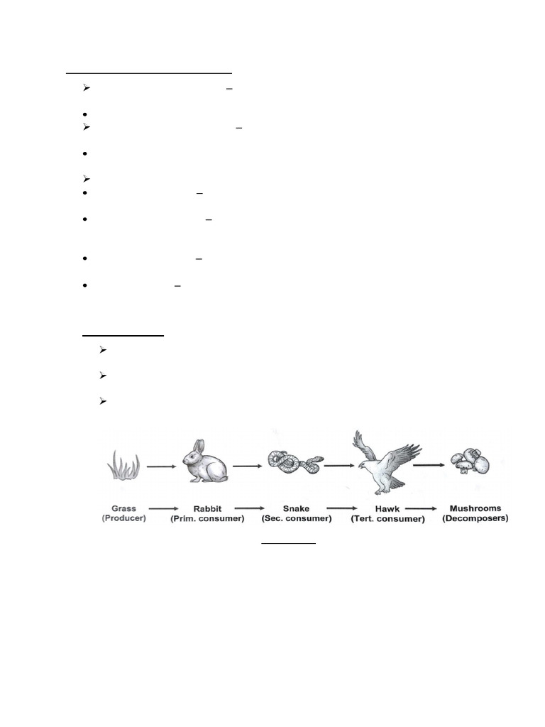 Biotic Components, Energy Flow and Trophic Levels | PDF