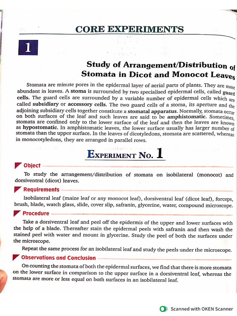 Class 12 - Experimental Setup | PDF