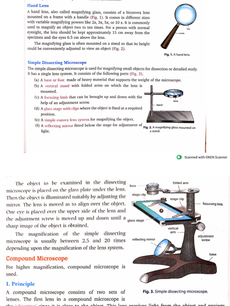 Class XI Study of Microscope | PDF