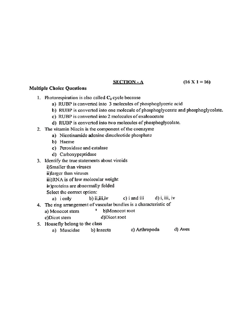 Practice Questions | PDF