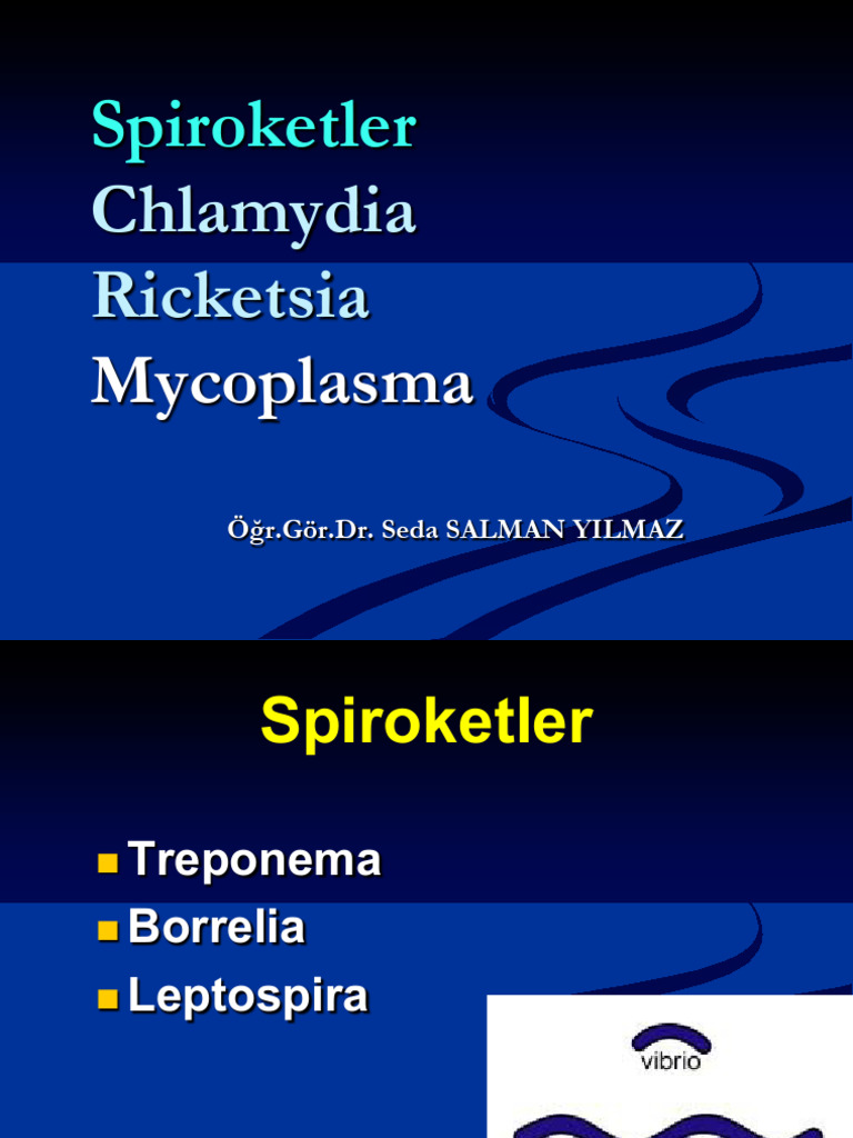 9- Spiroket, Chlamydia, Ricketsia, Mycoplasma | PDF