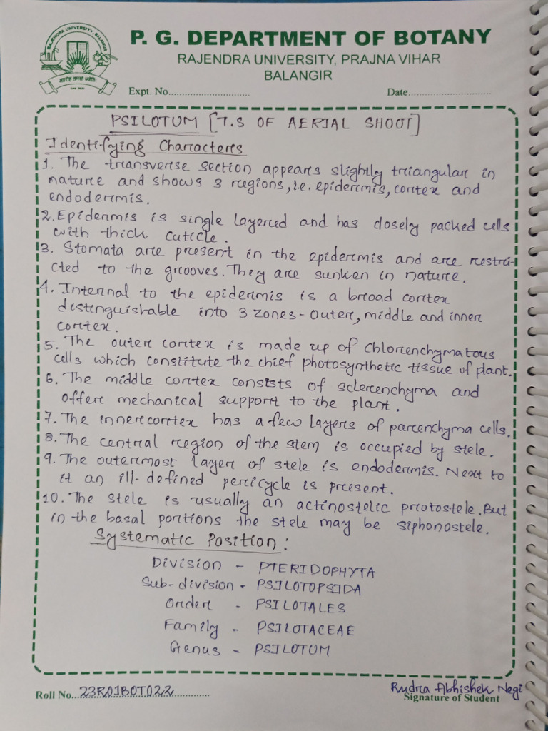 Practical | PDF