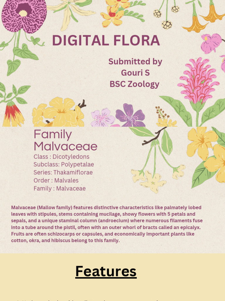 DIGITAL FLORA - 20251210 - 201221 - 0000.pdf - 20260209 - 183744 - 0000 ...