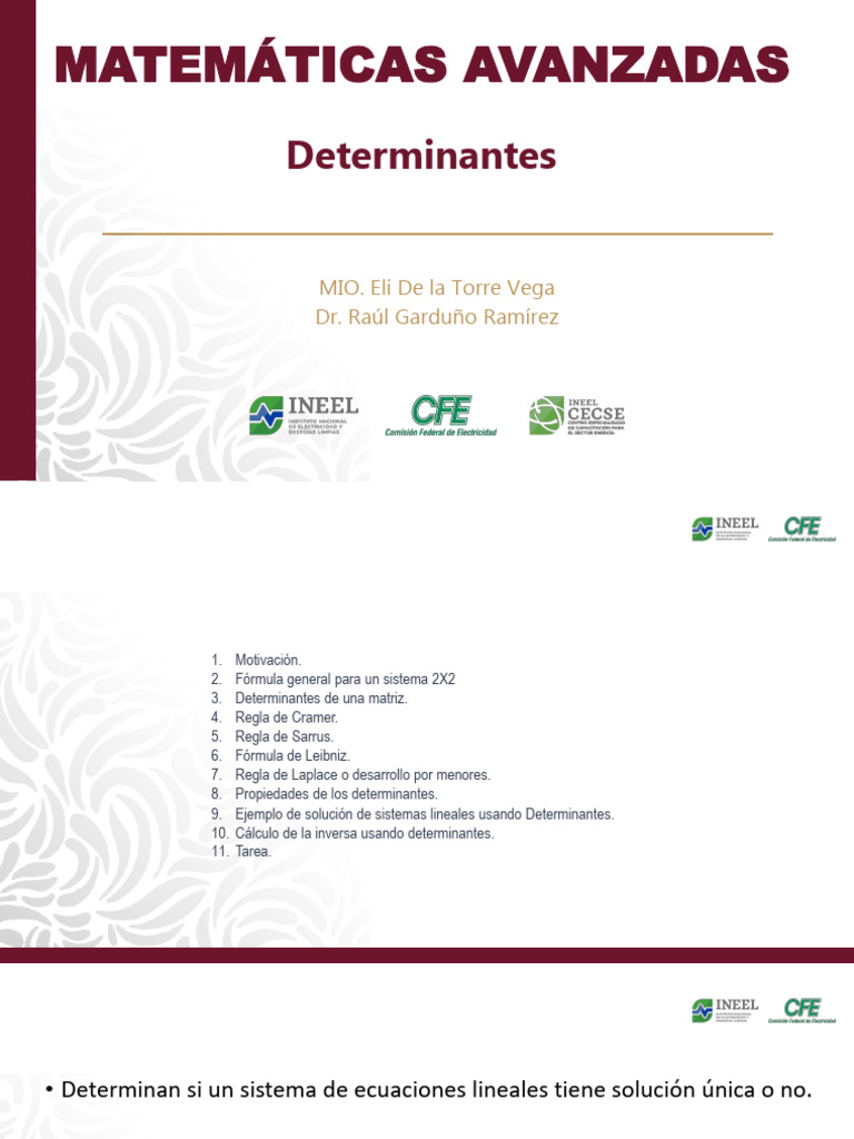 MAP 4DF Determinantes | PDF | Determinante | Objetos matemáticos