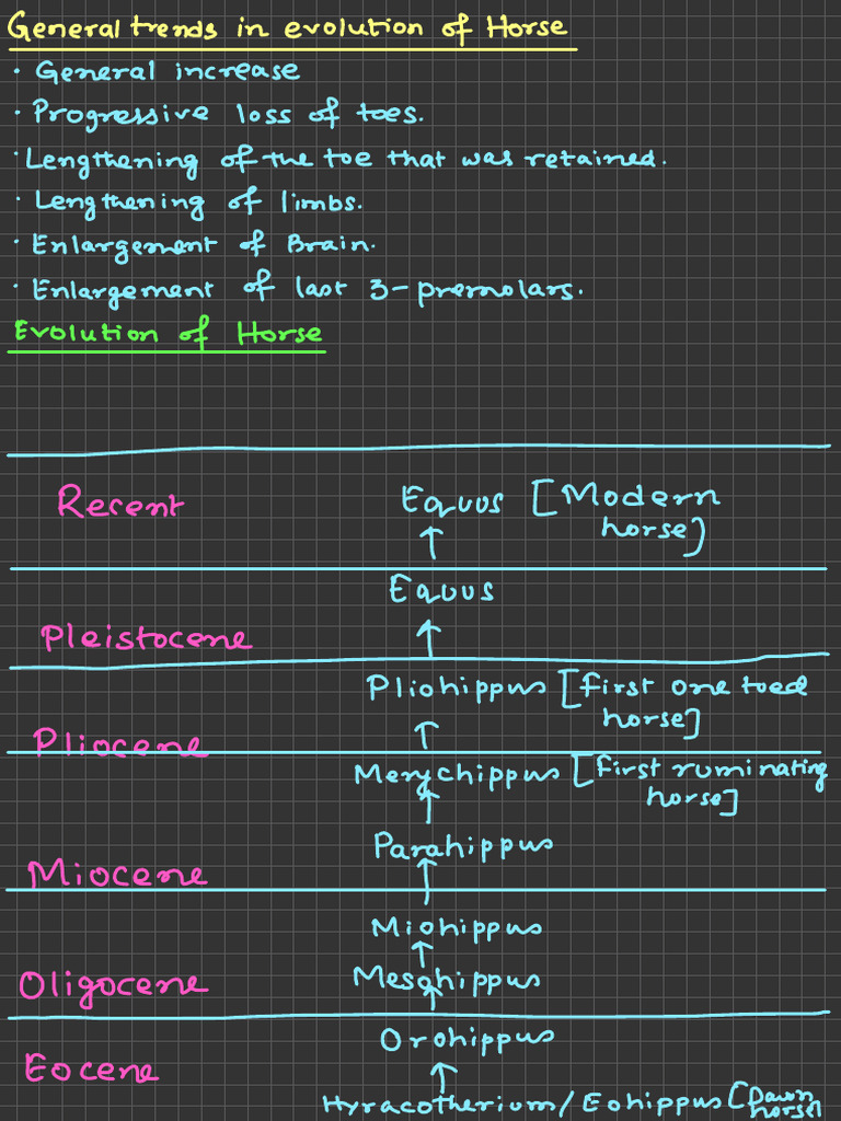 Horse and Geo Time Scale | PDF | Paleontology | Geology
