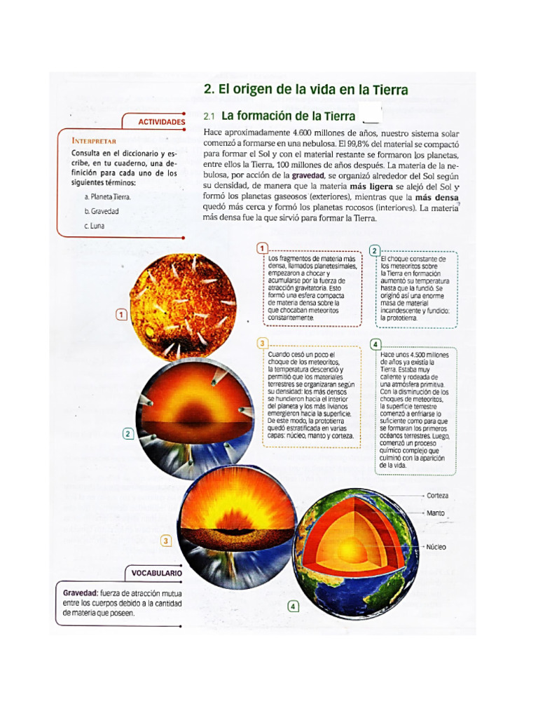 El Origen de La Vida 2024 | PDF