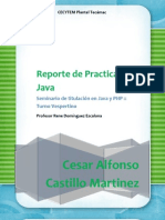 Reporte Java