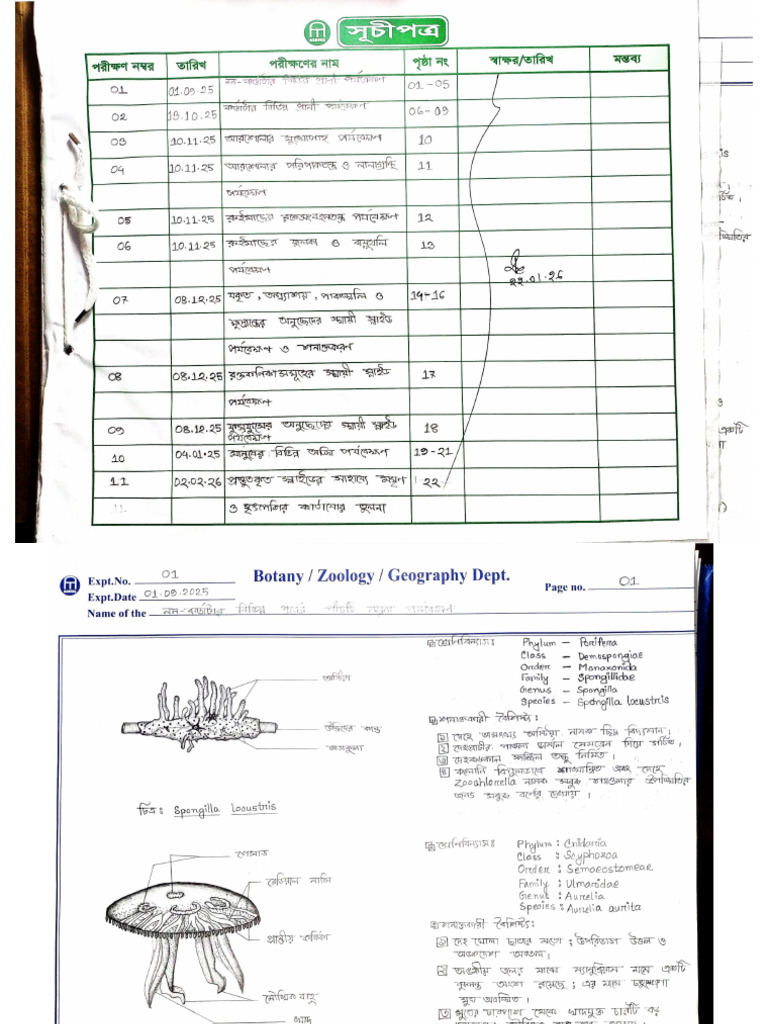 Zoology Practical Khata | PDF
