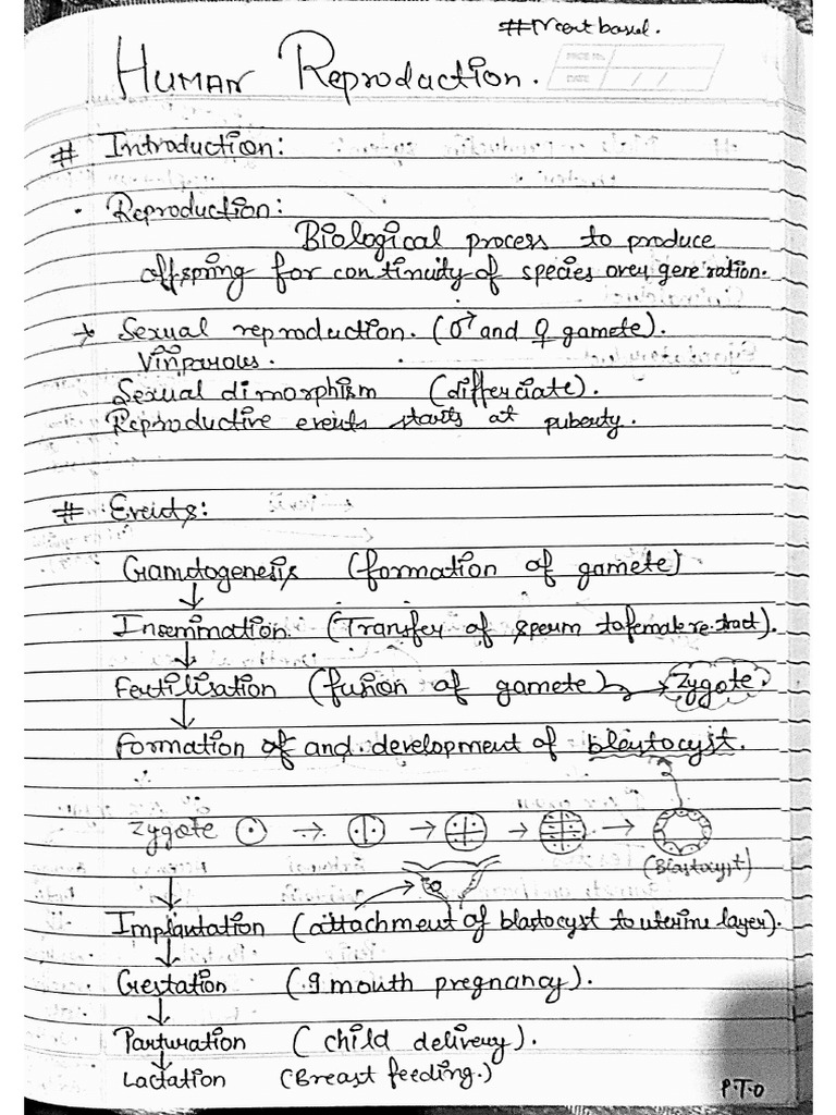 Human Reproduction (Self Notes) @yamera | PDF